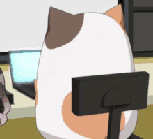 Cat, @nox