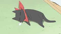 Cat, @river.1