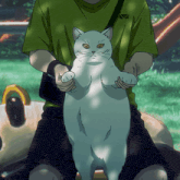 Cat, @phin_144