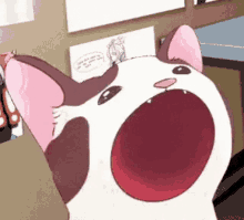 Cat, @elio