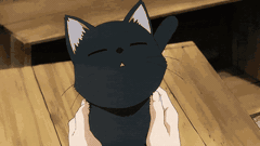 Cat, @rio_912