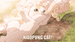 Cat, @sable