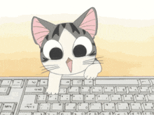 Cat, @finn