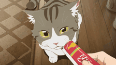 Cat, @hugo_821