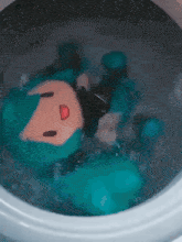 Miku, @elio.5