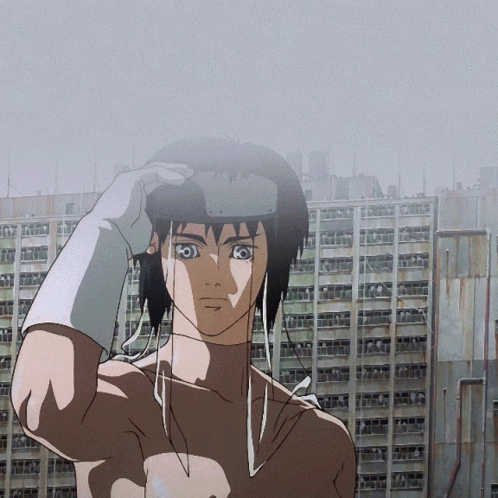 Ghost in the Shell